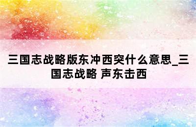 三国志战略版东冲西突什么意思_三国志战略 声东击西